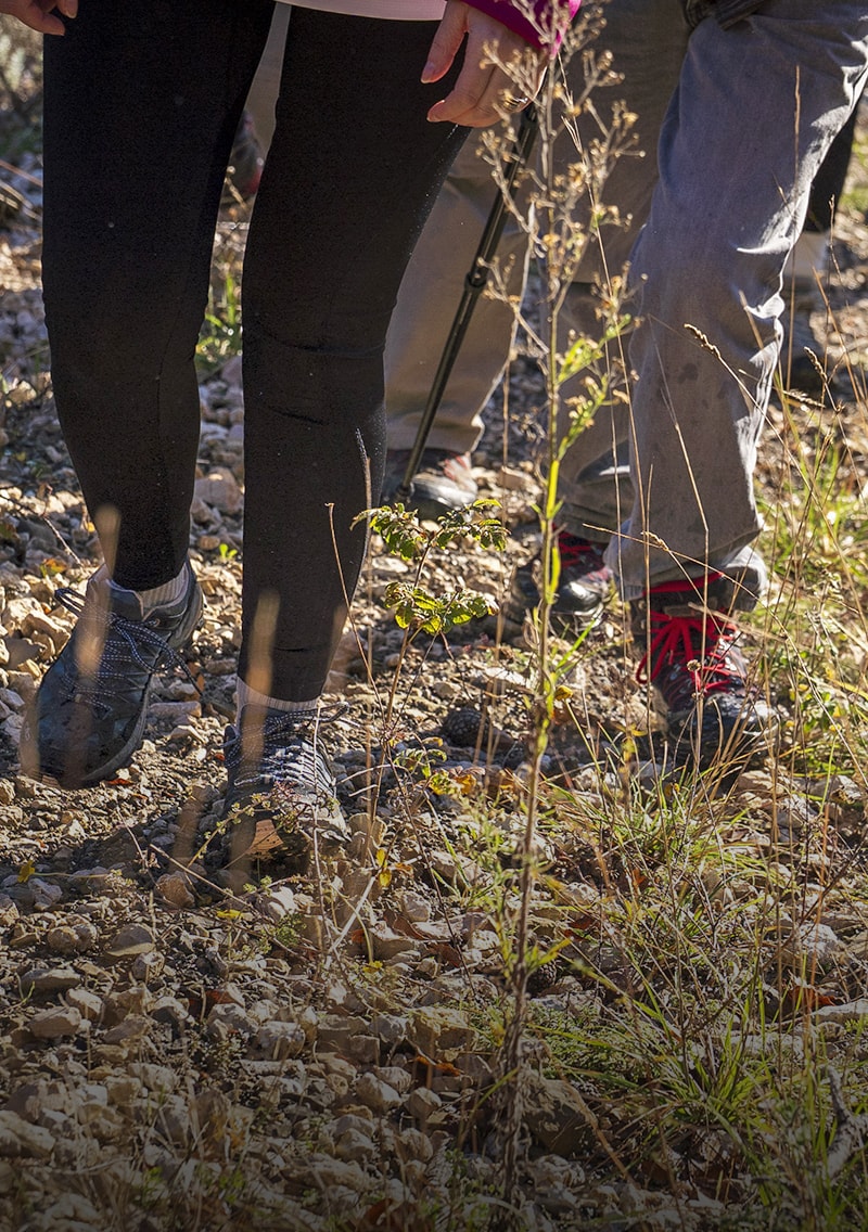 Trekking e passeggiate